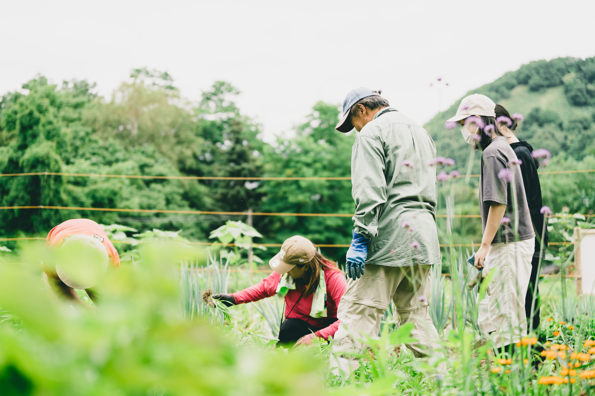草木や作物など自然に触れて学ぶファスコース