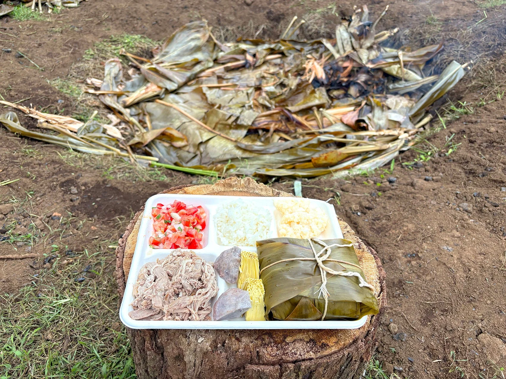 ハワイの伝統料理が並ぶ様子
